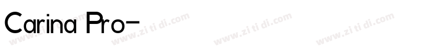 Carina Pro字体转换